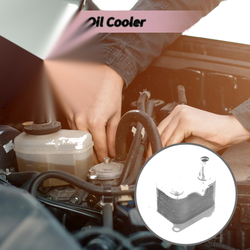 Ford Focus (1999-2005) 1 x Trans Cooler Engine Oil Cooler