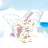 Epoxy Resin 4 x Butterfly Shaped Coaster Molds & Holder