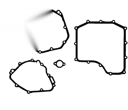 Honda CBR929RR CBR954RR Engine Gasket (2000–2003)
