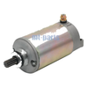 Triumph Speed Triple 955 Starter Motor (2002-2004)