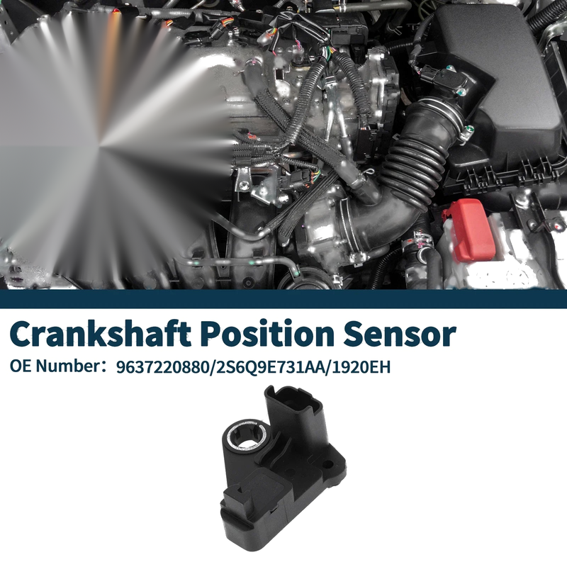 Ford Fiesta 1.4 TDCi (2008-2012) 1 x Sensor Crankshaft Position Sensor