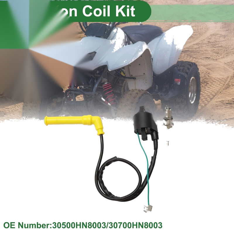 Honda Rincon 650 TRX650FA 4x4 (2003-2005) 1 x Set Ignition Coil
