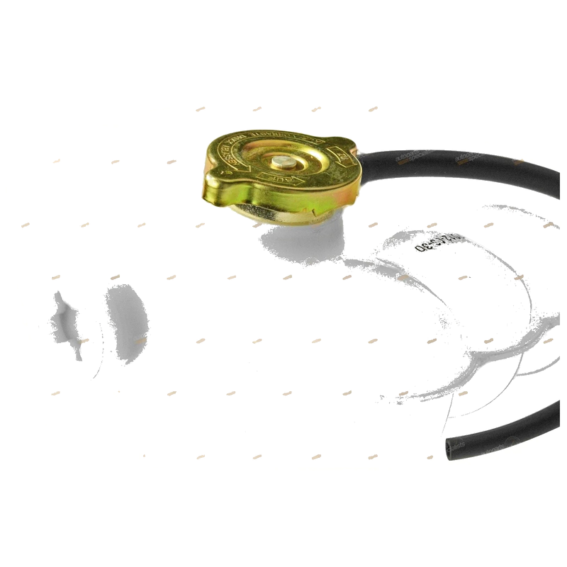 Ford Fairlane AU Radiator Overflow Bottle 6cyl 4.0L (1998 - 2002)