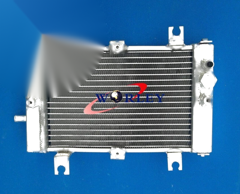 Can-Am Bombardier DS250 2006-2012 Aluminum Radiator