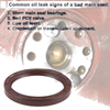 Nissan Pick Up Rear Crankshaft Oil Seal (2002-2010)