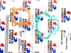 Honda QR50 STD Top End Kit 40mm Piston Rings Pin Clips Gasket (82-03)