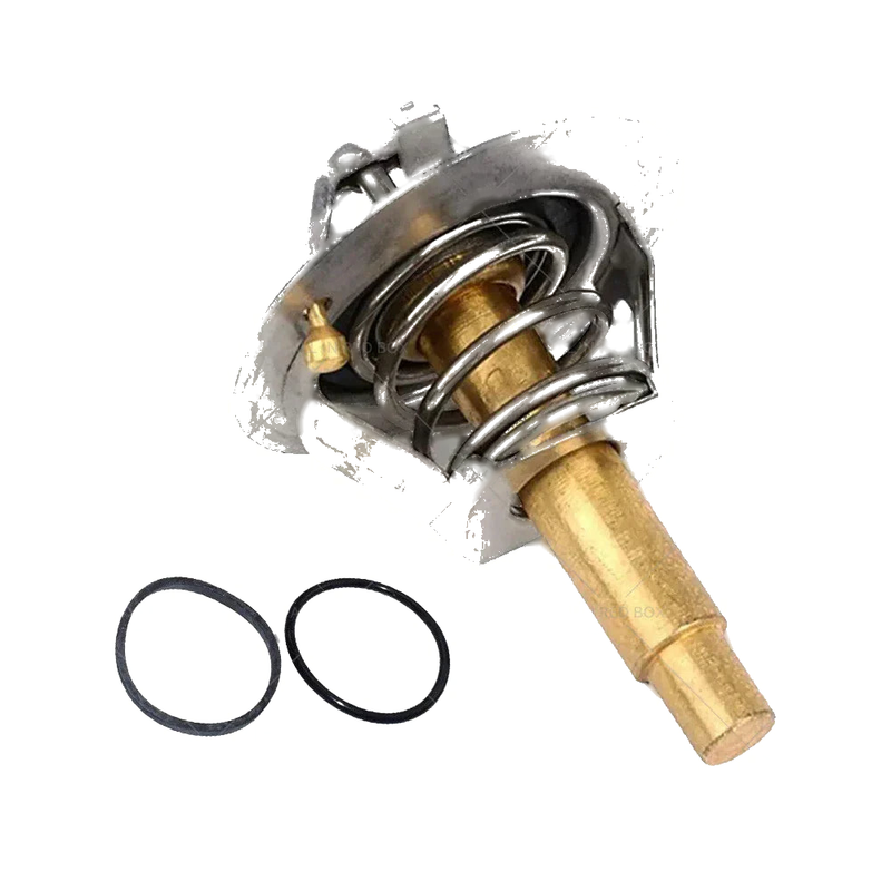 Mercedes W203 W204 W211 CL203 R171 Thermostat Seal (2000-2015)