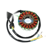 Daelim S2 SQ Freewing 250 Stator Coil (2006-2015)