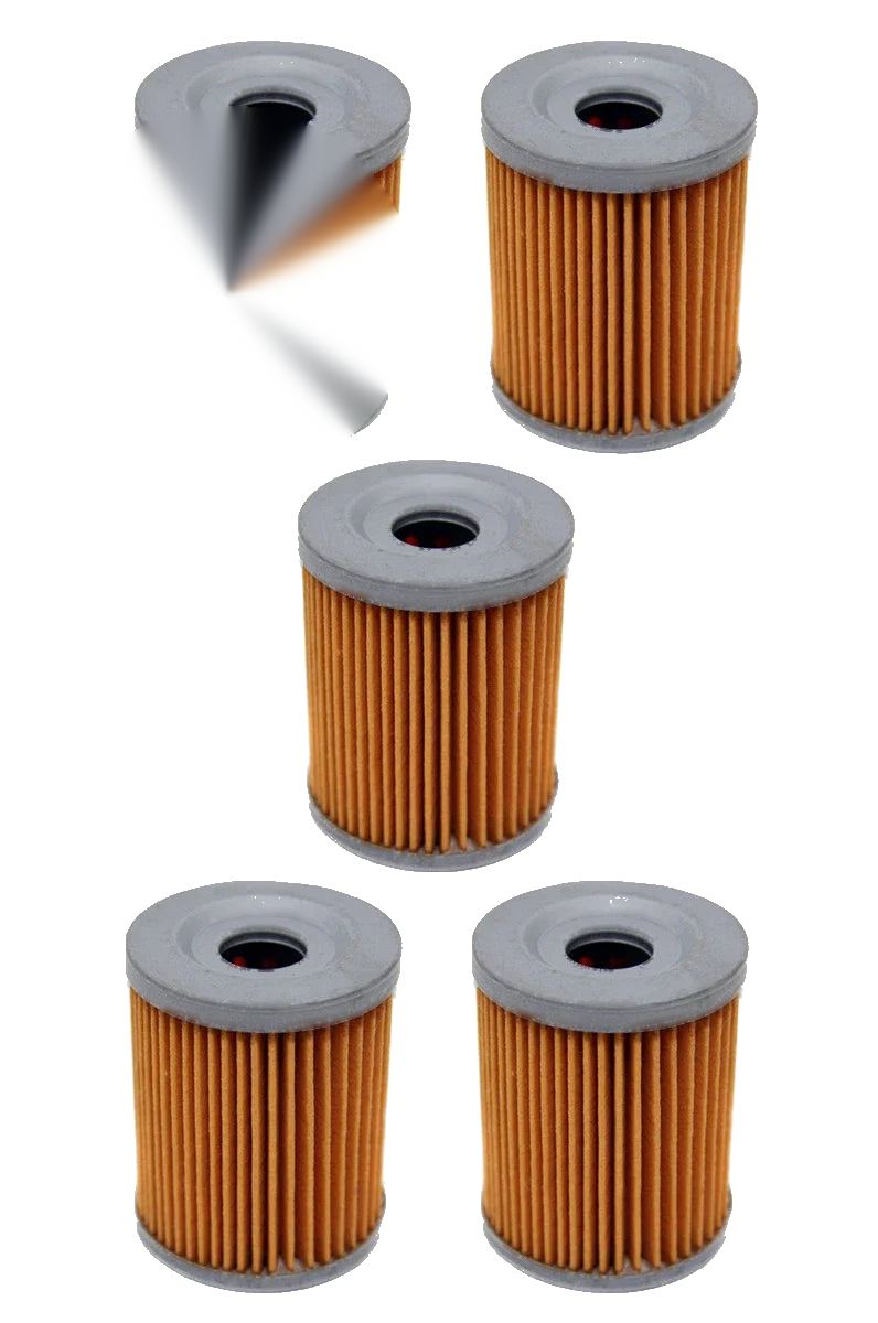 Suzuki King Quad 300 4x4 LT-F300F LT-F4WDX 5 x Oil Filters (1991–2002)