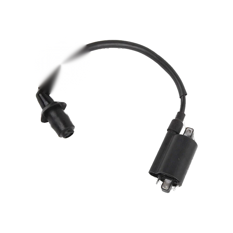 Yamaha XV250 Virago Route 66 Ignition Coil (1995 - 2007)