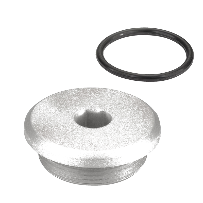 Suzuki GSX1300R 1999-2024 Silver Grey Crankcase Cover Plug w/O-Ring