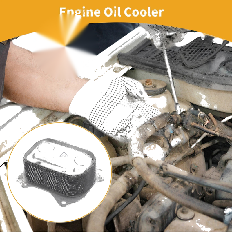 BMW 320i Engine Oil Cooler (2012-2016)