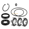 Honda Sportrax 250 Rear Axle Bearing & Seal 2x4 (2001–2022)