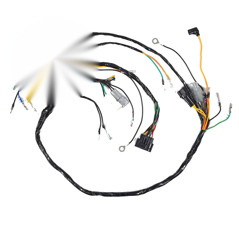 Yamaha Blaster 200 YFS200 wiring harness (2003–2006)