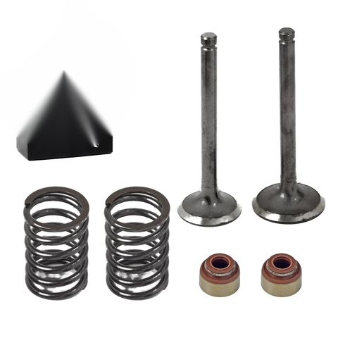 Club Car DS 1992-Up FE290 Intake Exhaust Valve Set w/ Seals & Springs