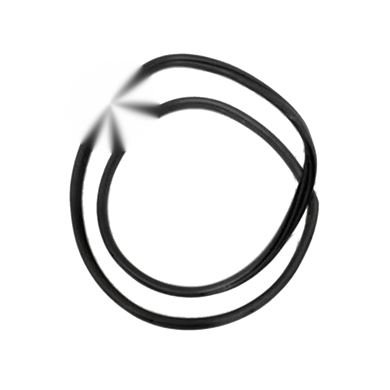 BMW F80 F30 F31 Front Door Weather Strip Seal Gasket (2012-2019)