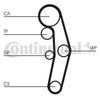 Contitech Timing Belt CT1028