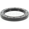 Kelpro Oil Seal 98471