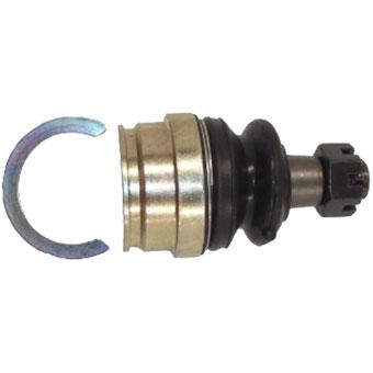 Protex Ball Joint Front Lower BJ8620