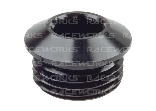 Raceworks An In Hex O-Ring Plug An-10