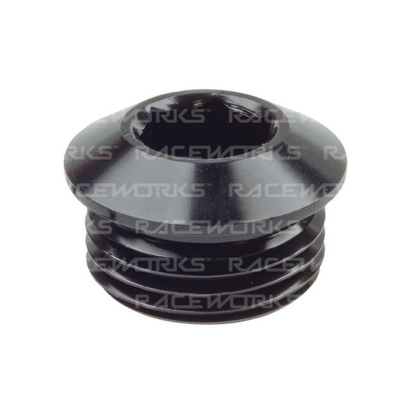 Raceworks An In Hex O-Ring Plug An-8