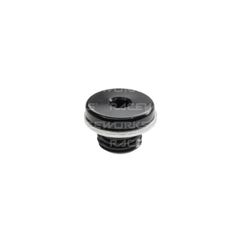 Raceworks M14x1.5 In-Hex Plug W/ Washer