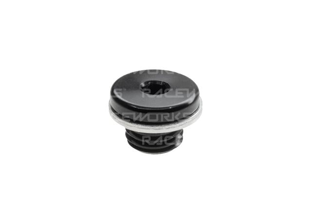 Raceworks M12x1.5 In-Hex Plug W/ Washer