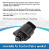 Chevrolet Aveo Idle Air Control Valve (2004-2010)