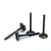 EZGO Gas 4 Stroke Intake & Exhaust Valve Set (1996-2026)
