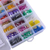 Car 242Pc Medium & Small Fuse Holder Assortment