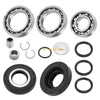 Honda Sportrax TRX250EX Rear Axle Bearings & Seals (2001–2008)