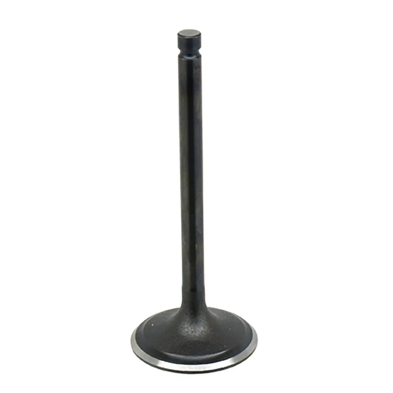 Yamaha Raptor 350 Bronco Engine Intake Valve (2004–2013)