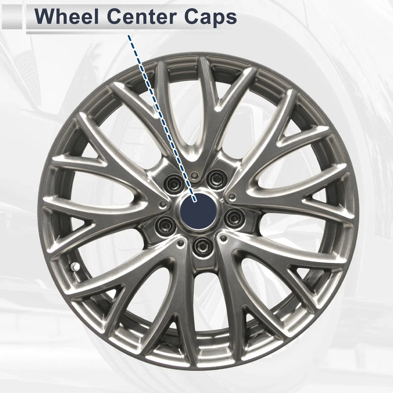 Toyota Land Cruiser Wheel Center Cap (2008-2021)