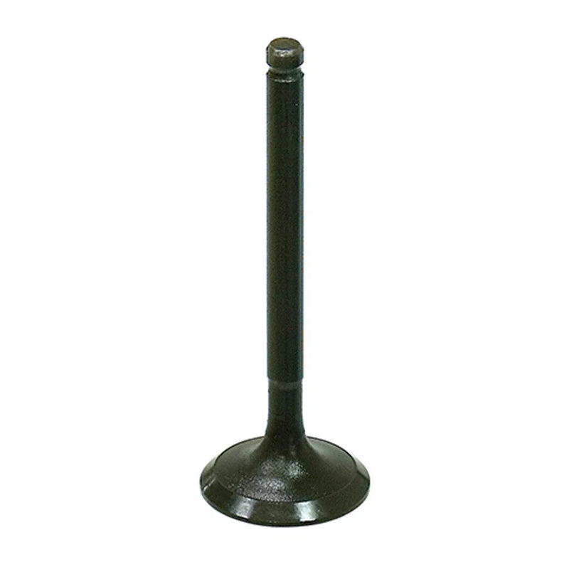 Polaris Outlaw 90 & 110 Sportsman 90 & 110 Engine Intake Valve (2007–2023)