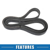 Honda CR-V V-Ribbed Serpentine Belt (2017-2021)