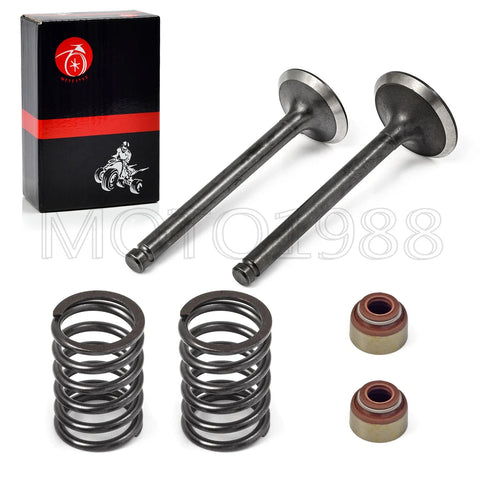 Club Car DS Precedent FE290 Intake/Exhaust Valve Replacement (1992–2023)