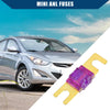 Car / Motorcycle Gold Tone Purple 5 Pcs Mini ANL Fuses 100A Audio CD Fuse