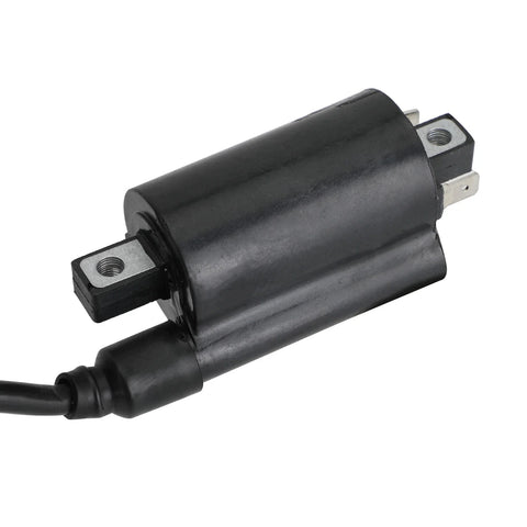 Suzuki AN250 AN400, Yamaha XV125 XV240 XV250 CDI Module (2000-2007)