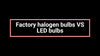 Ford Everest Bright LED Reverse Indicator Tail Light Bulbs (2015-2022)