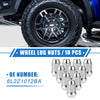 Ford Explorer, Lincoln MKS 10 Pcs Wheel Lug Nuts (2006-2010)