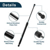 Toyota Yaris Hatchback Rear Hatch Lift Supports (2006-2011)