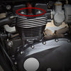 Triumph Bonneville Head Bolt Cover Nut Covers (2001-2016)