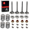 EZGO Golf Cart 295 / 350cc Intake Exhaust Valve Rebuild Kit (1996-2002)
