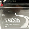 Dirt Quad, Trail Bike, ATV, UTV, Buggy, Scooter 12V 12AH Battery