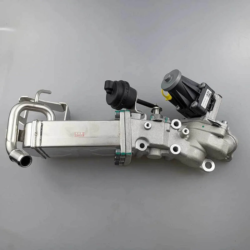 Saic Maxus LDV G10 1.9L EGR Valve Assembly Kit (2016-2023)