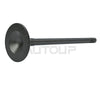 Chevrolet Equinox Intake & Exhaust Valve (2010–2017)