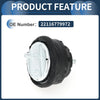 BMW 3 Series E46 Engine Mount 2.0L (2000-2006)