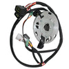 Kawasaki KX250 Magneto Stator Coil (1998)