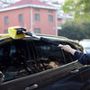 Car 10 Inch Auto Washing Brush