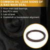 Mitsubishi Dodge Rear Crankshaft Oil Seal (MD343564)